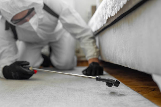 Professional Bed Bug Control technician working in Louisburg, KS