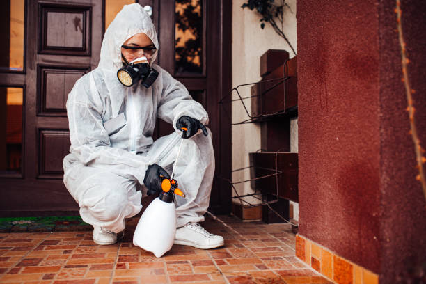 Reliable Bed Bug Control contractor in Louisburg, KS by Nex Pest Control