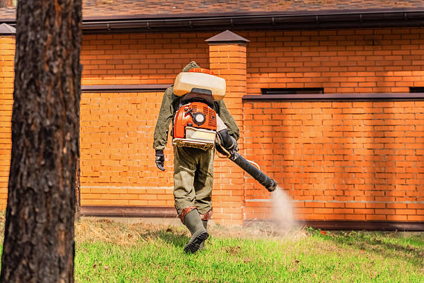 Trusted Rodent Control service in Louisburg, KS - Nex Pest Control